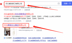 河北*強實業(yè)集團有限公司網站建設案例欣賞
