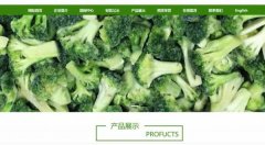 新泰市*外貿易公司網(wǎng)站建設創(chuàng)意網(wǎng)站效果展示