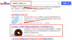 淄博帝*電子元件有限公司網(wǎng)站建設平面設計案例作品