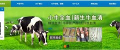 永城市匯*生物科技有限公司網站建設有創(chuàng)意的主題設計