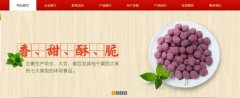 紅太*食品(榮成)有限公司制作網(wǎng)站新一代自助建站、智能建站系統(tǒng)