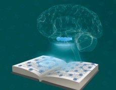 掌握網(wǎng)站SEO優(yōu)化更新，解鎖流量密碼