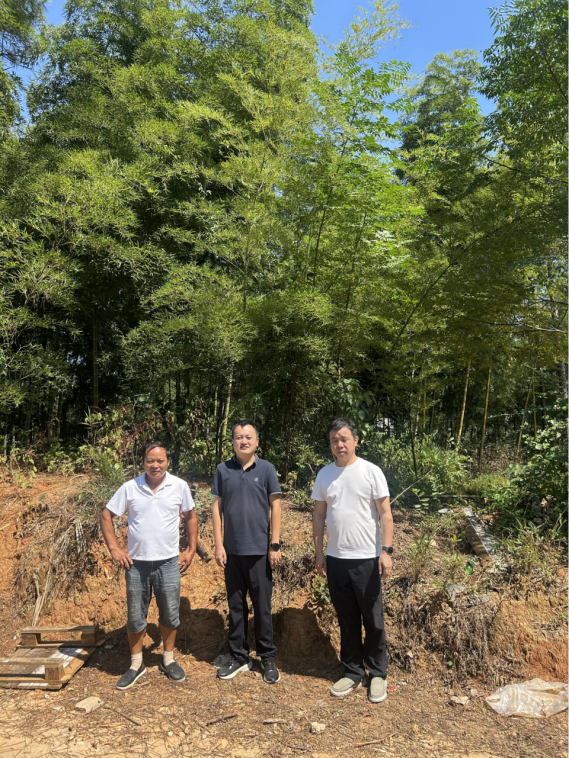 1770259167135325.png ce8d7a55-5806-45cb-829a-6ce1073e72b7.png